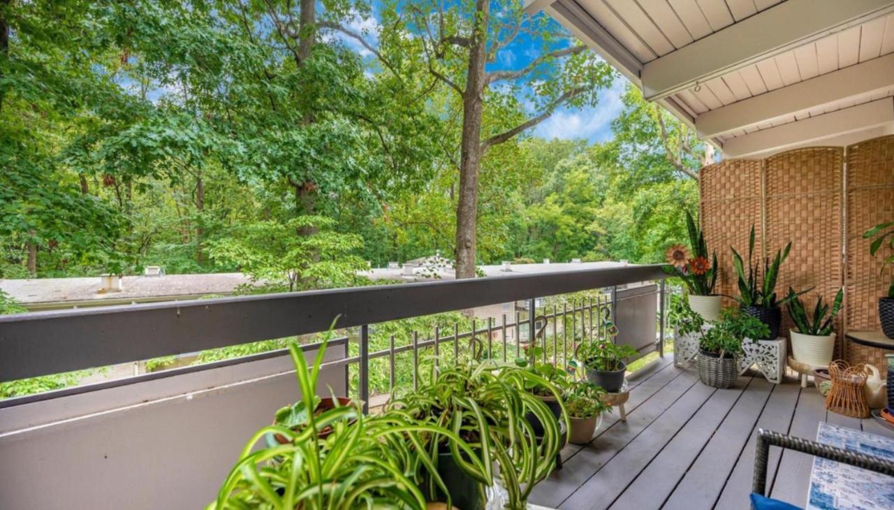 Apartment Entire One Bedroom Annandale