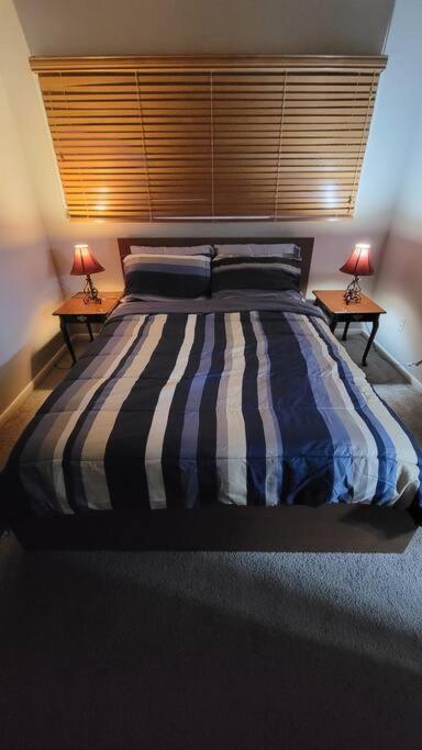 Apartment Entire One Bedroom Annandale